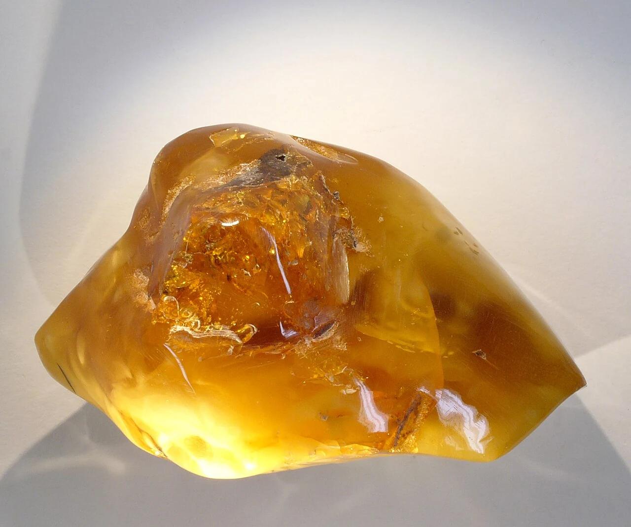 Golden amber in transmitted light