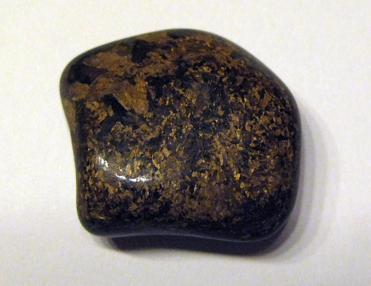 Polished bronzite with brown-gold areas