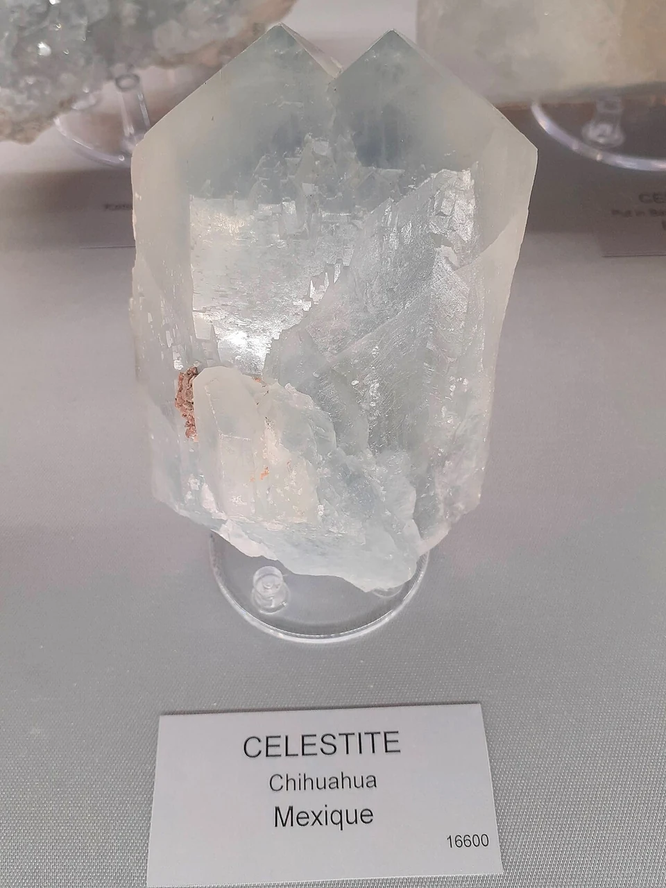 Pale celestine crystal from Chihuahua