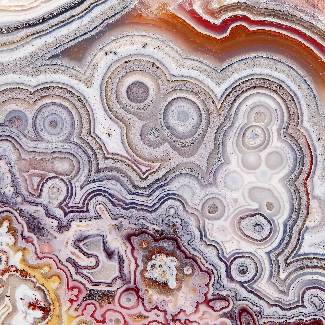 Close-up of Crazy Lace agate bands