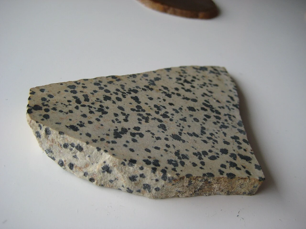 Unpolished Dalmatian stone with dark spots