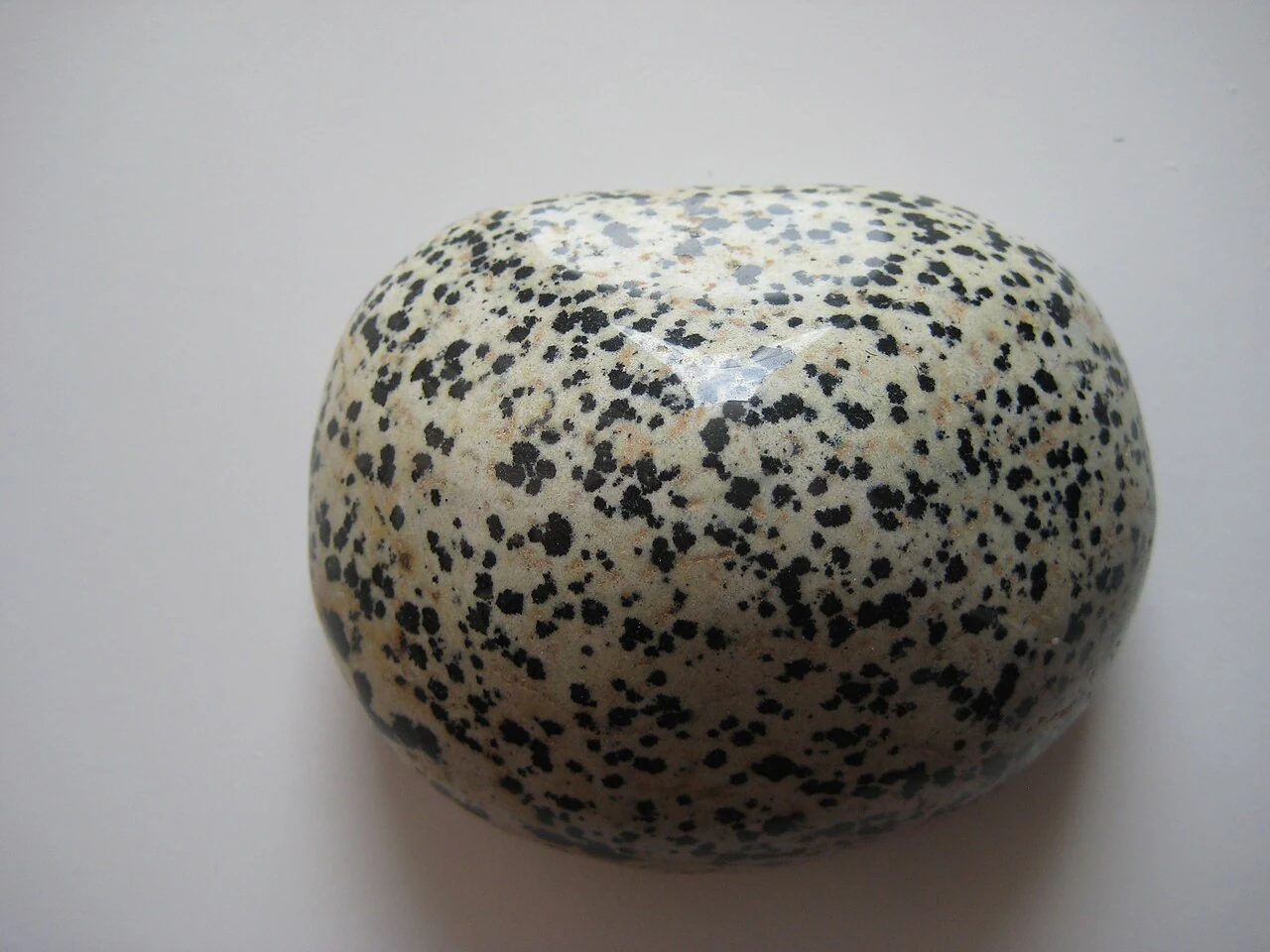 Polished Dalmatian stone with dark spots