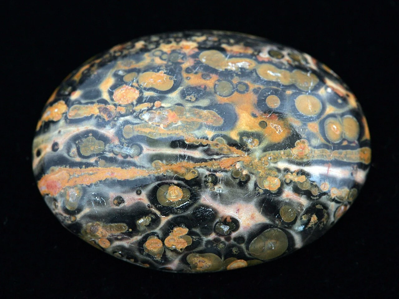 Cabochon of material called leopard-skin jasper, specimen 178061