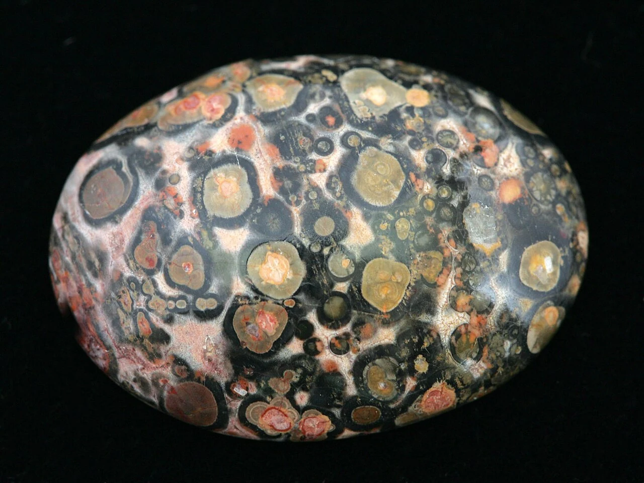 Second cabochon of material called leopard-skin jasper, specimen 178070