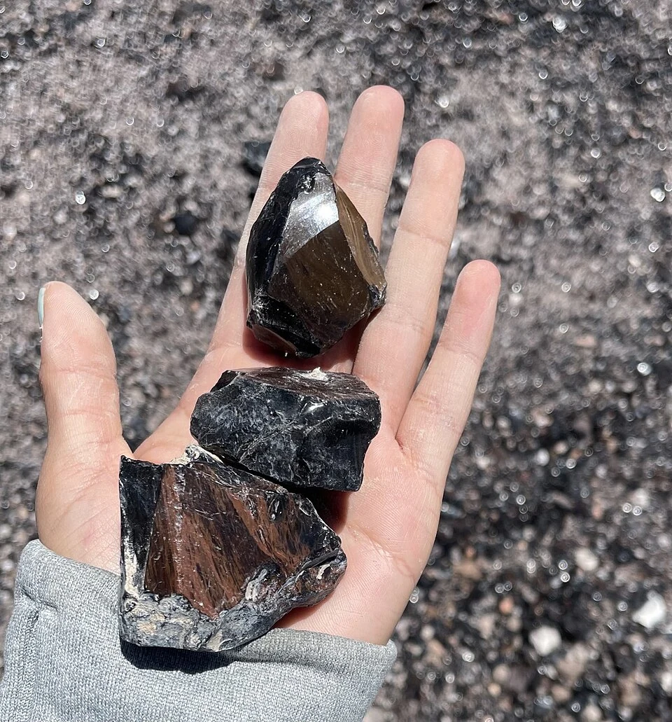 Black-brown mahogany obsidian specimens in a hand