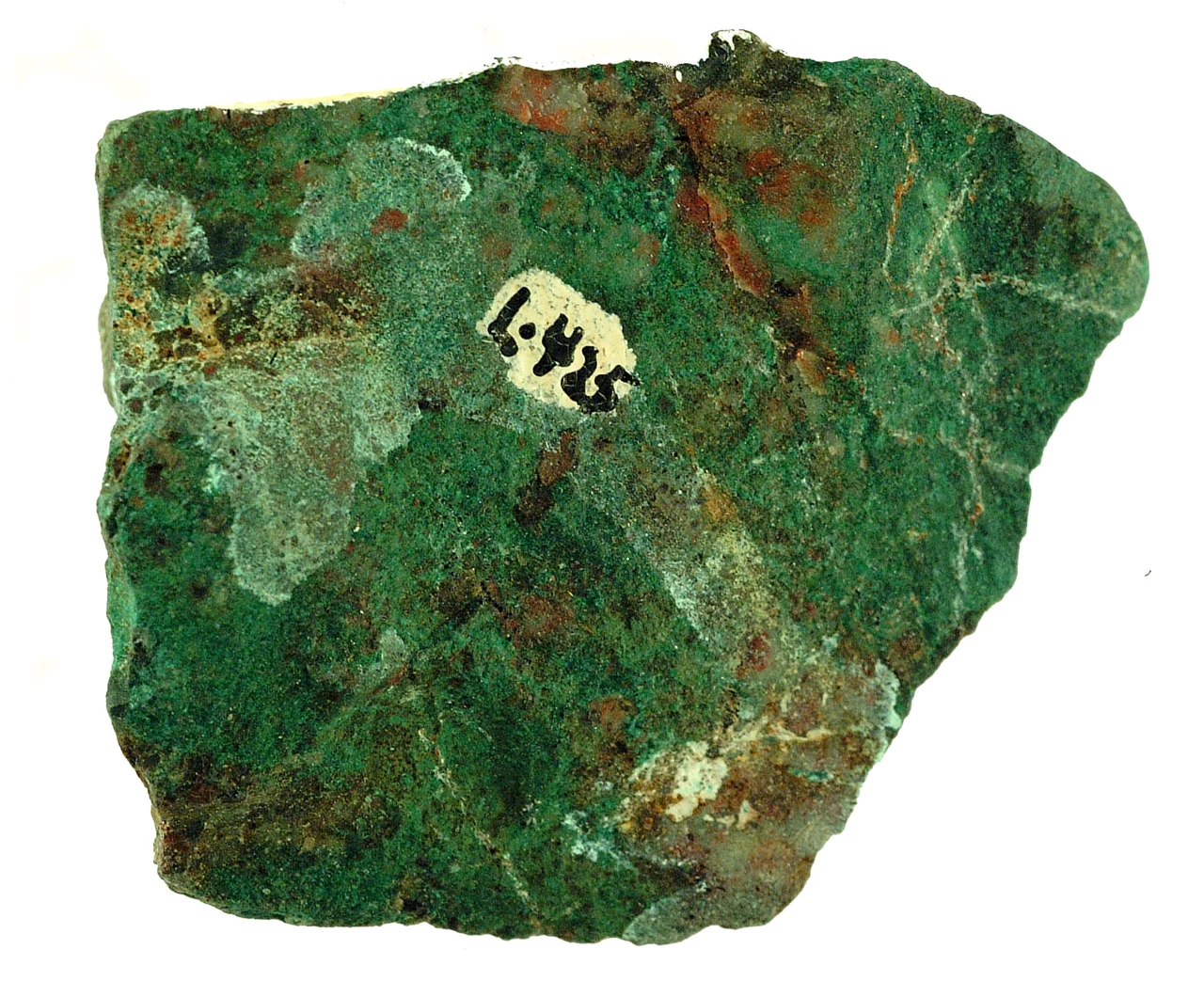 Rough green malachite specimen with an uneven fine-grained surface.