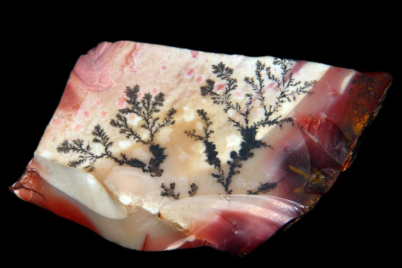 Mookaite cross-section with dark dendrites
