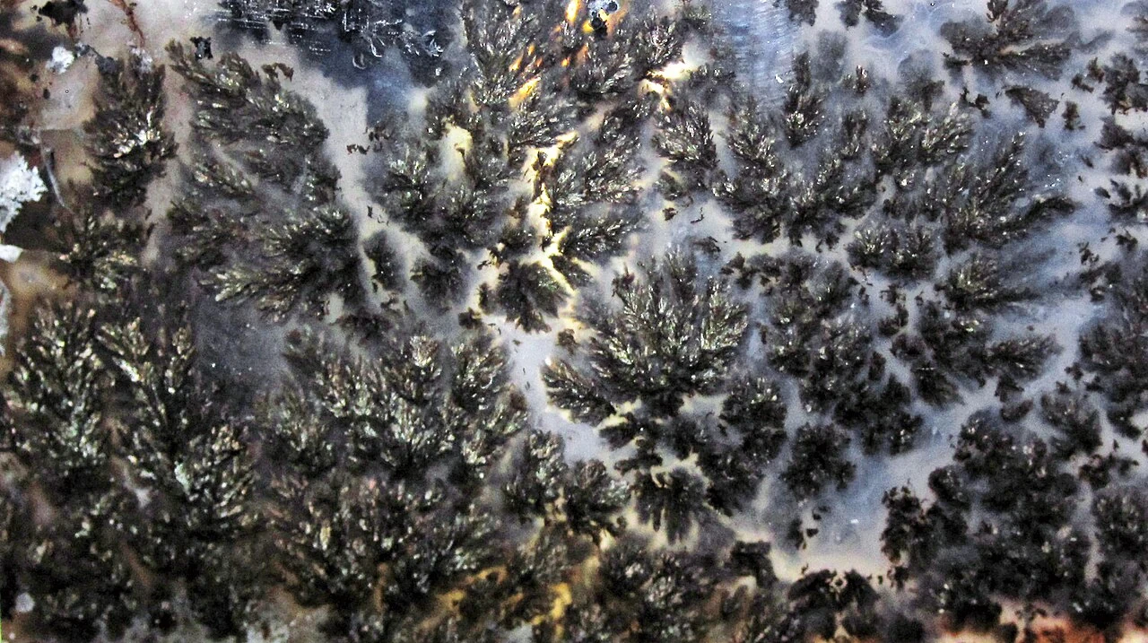 Branching dark inclusions in moss agate