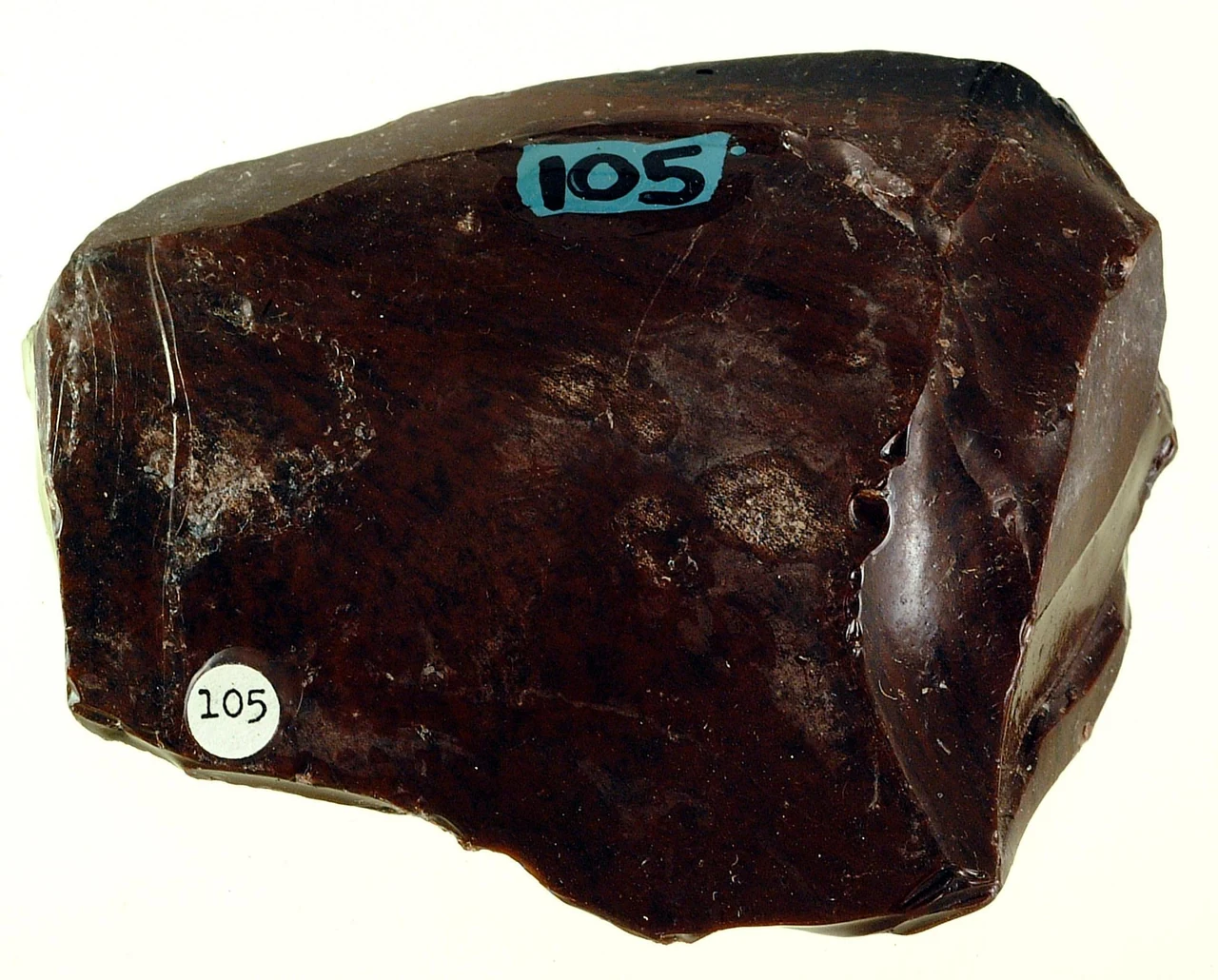 Brown obsidian specimen from a geological collection, with a shiny glass surface.