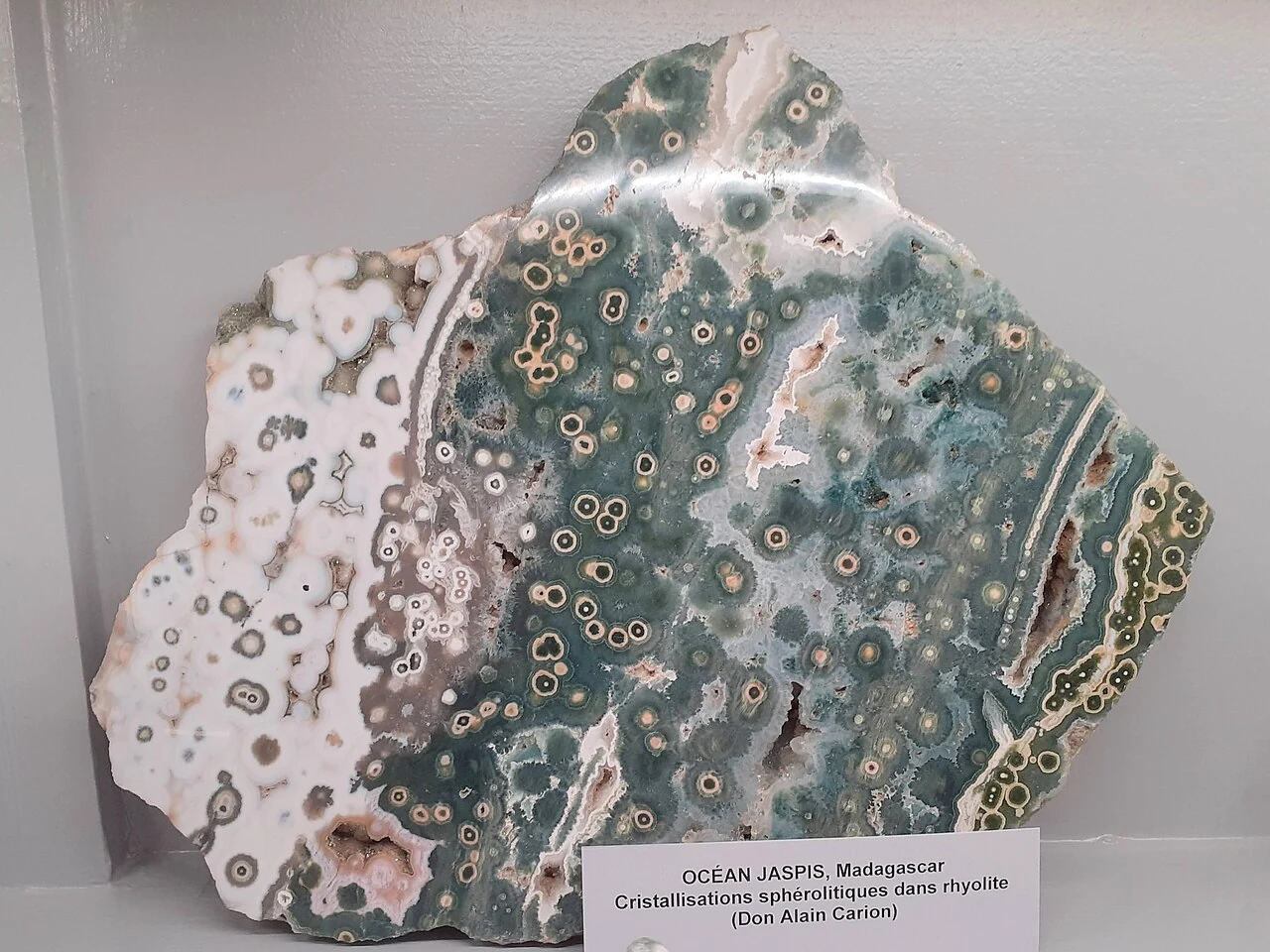 Ocean Jasper section from Madagascar on museum display
