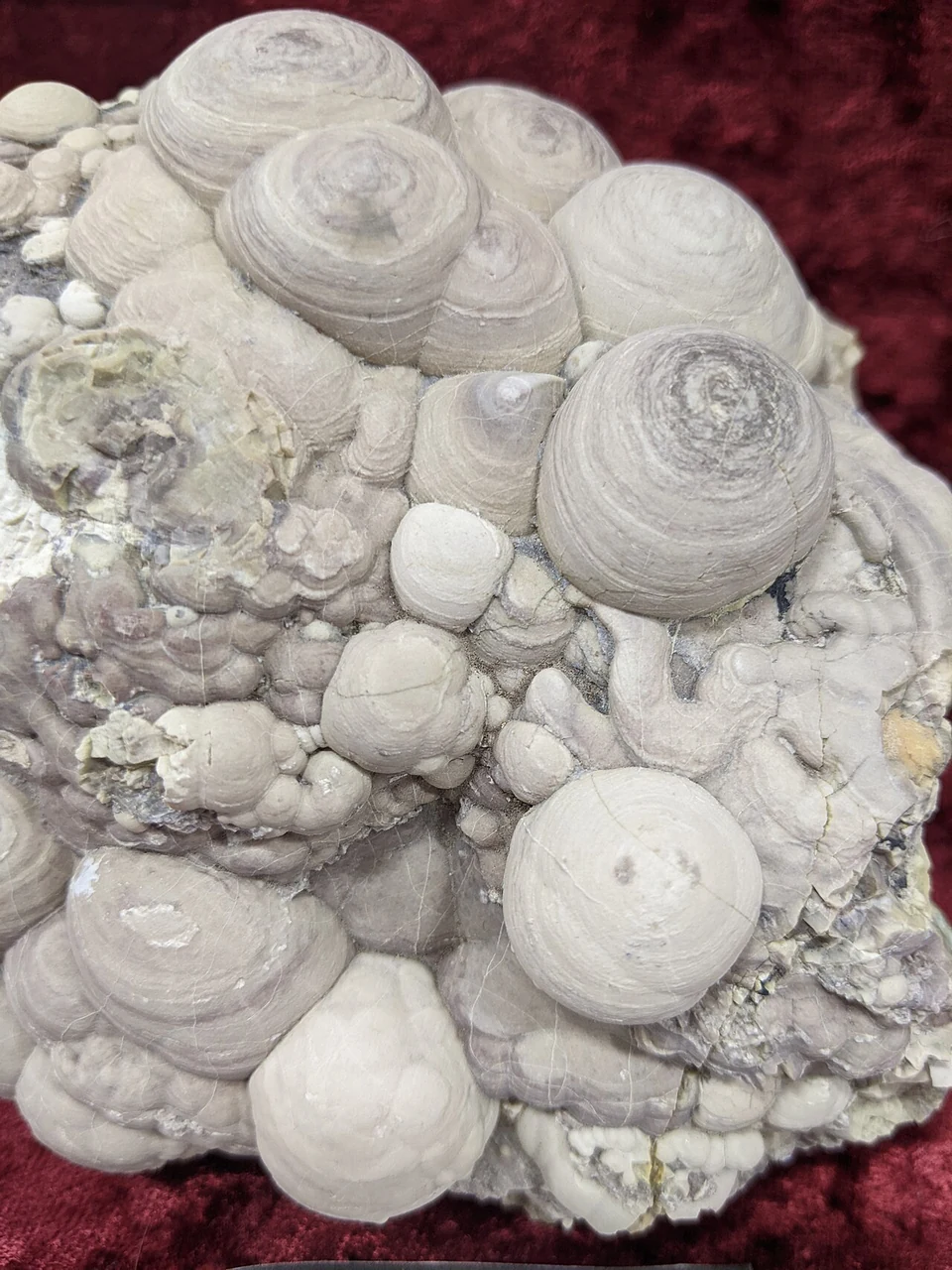 Pale opal from Opal Butte with rounded aggregates