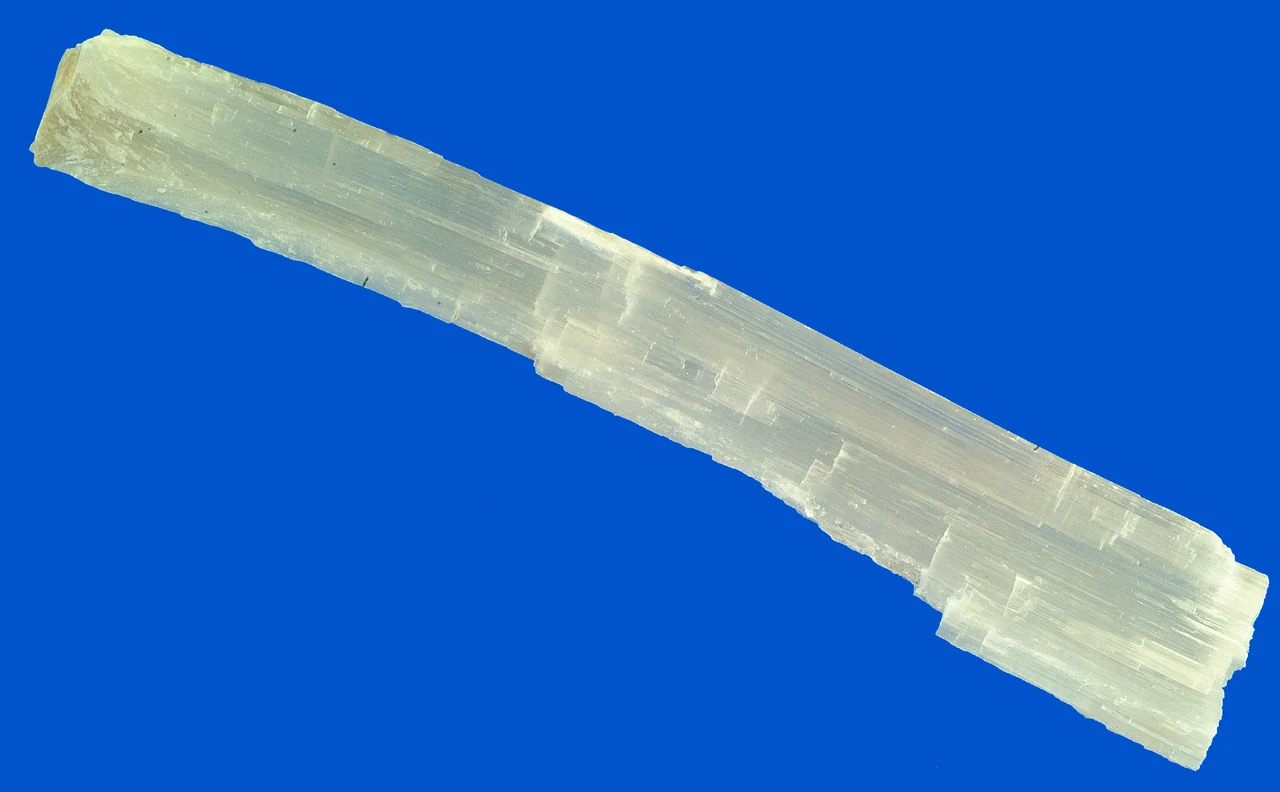 Clear elongated selenite cleavage fragment against a blue background.