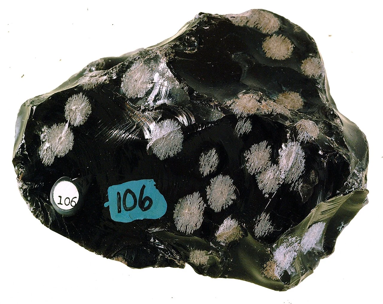 Black snowflake obsidian with pale spherulites