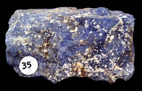 Massive, deep blue sodalite with white flecks; the specimen carries a small collection-number sticker.