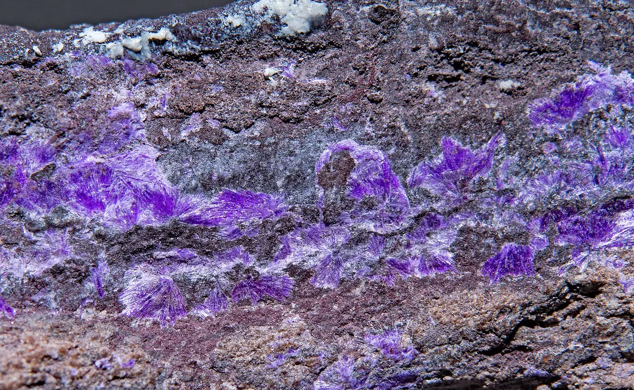 Purple sugilite zones in dark rock