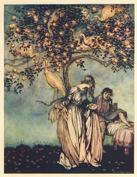 The prince and figures beneath the apple tree in Arthur Rackham's illustration of the nine peahens tale in The Allies Fairy Book, 1916.